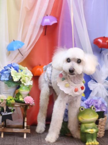 20230627エフくん